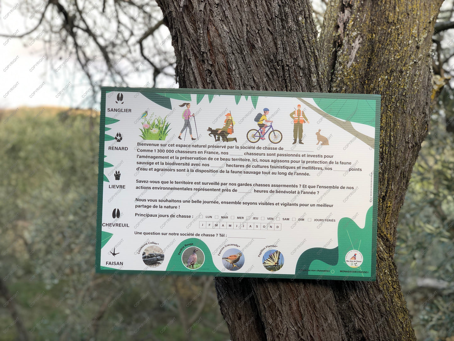 Votre société de chasse #P1