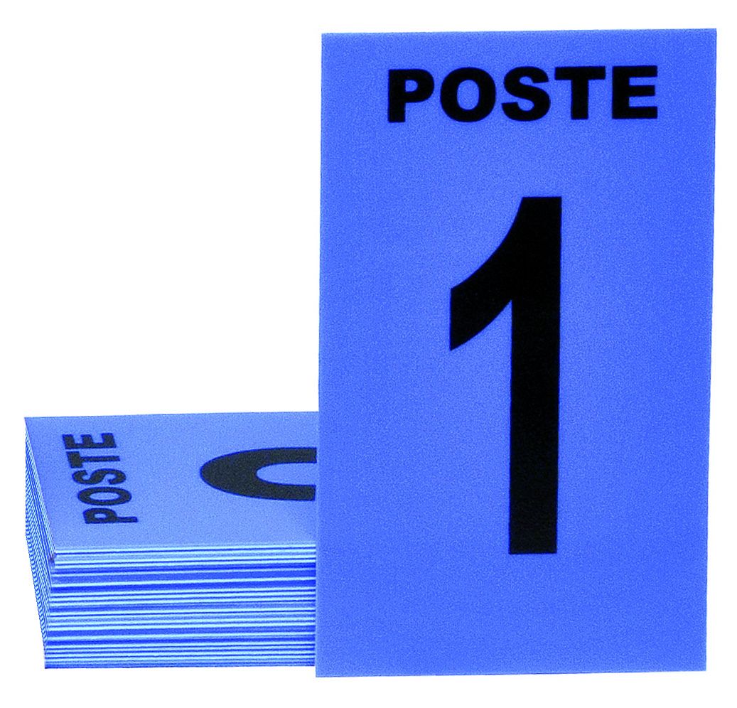 JEU DE 24 CARTES DE POSTE + 3 CARTES NEUTRES JANUEL - SOUS BLISTER