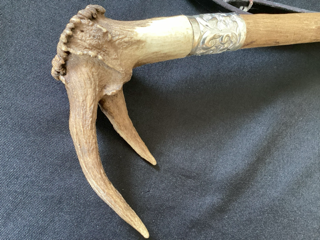 Fouet de Chasse Vénerie